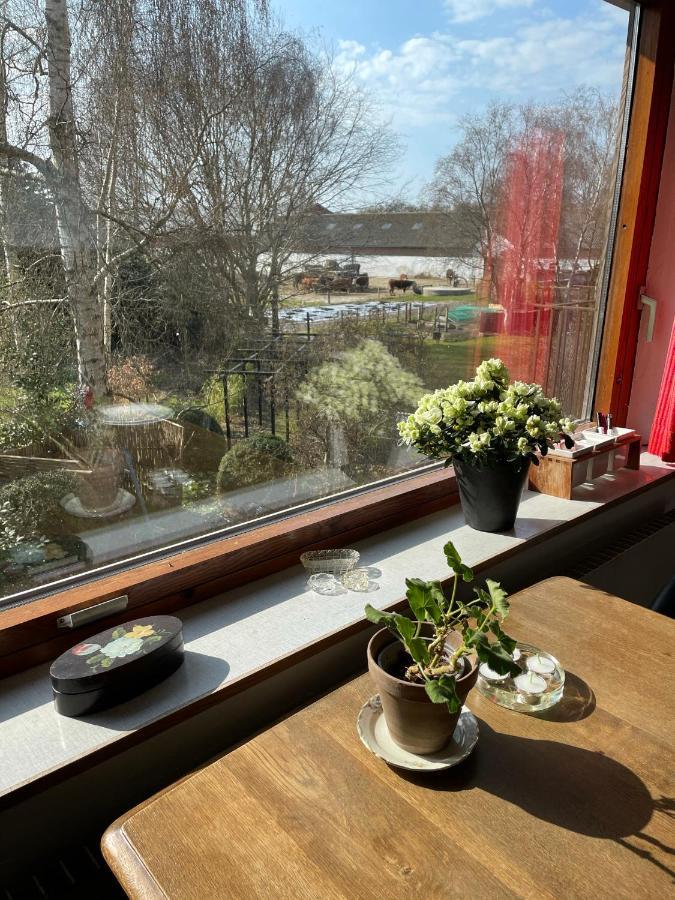 Apartamento Retro Bolig - Fyldt Med Hygge! Ingen Luksus Kolind Exterior foto